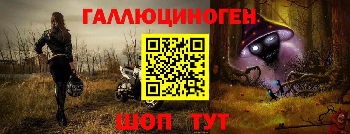 Псилоцибиновые грибы прущие грибы  закладка  Кингисепп  Вход с VPN 
